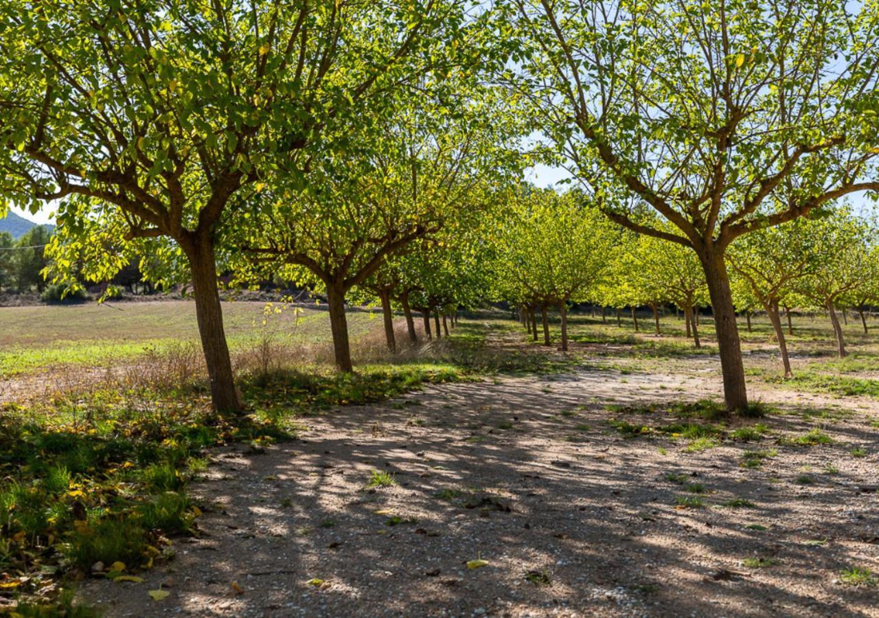 Masia Aubareda San Marti de Tous Luaran gambar