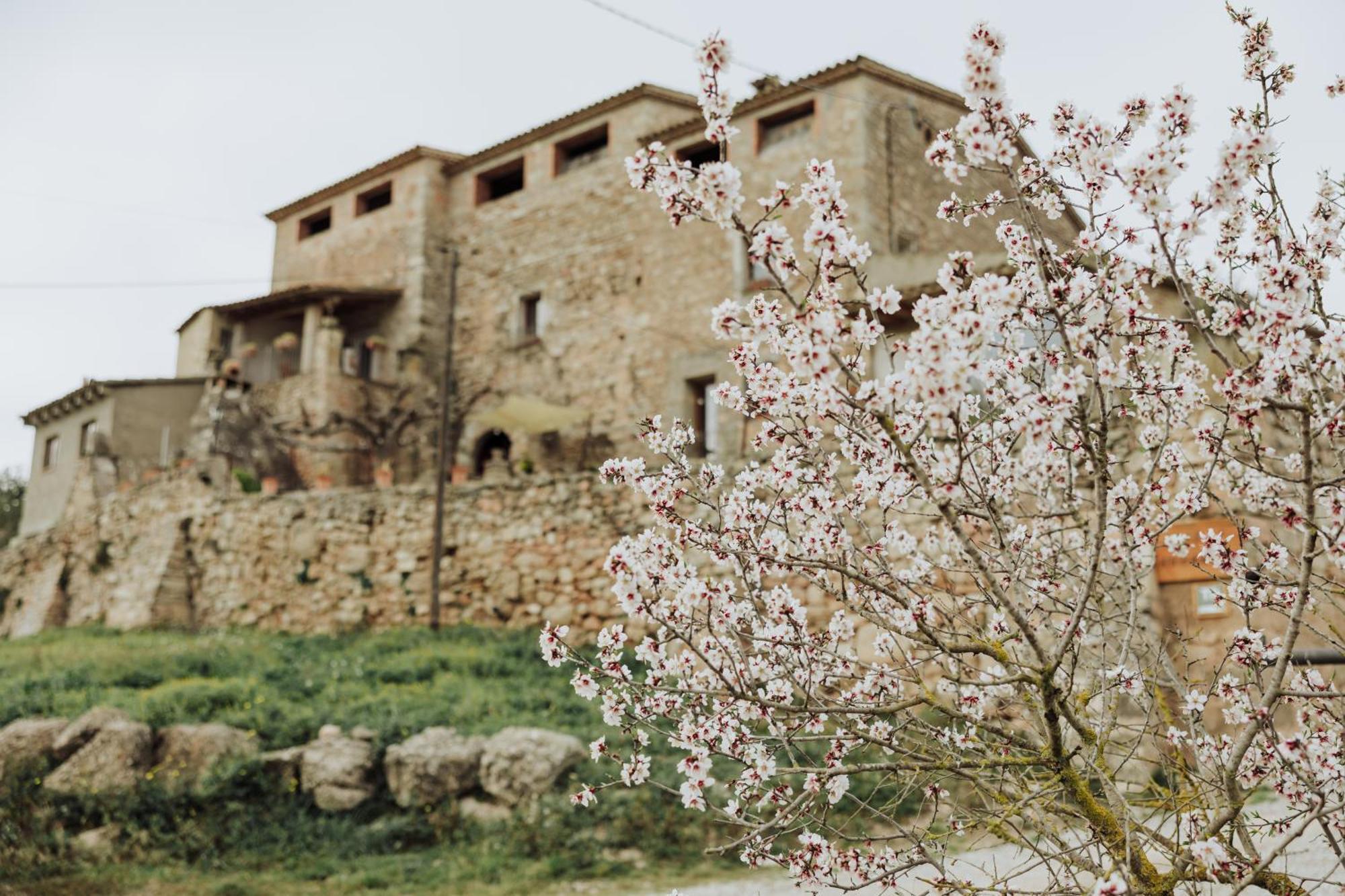 Masia Aubareda San Marti de Tous Luaran gambar
